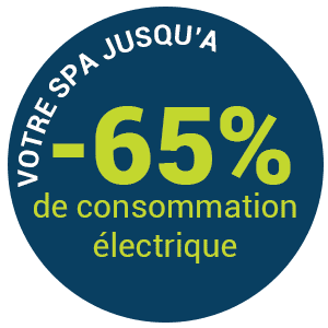 Vente SPA économe en énergie proche Richwiller Lutterbach